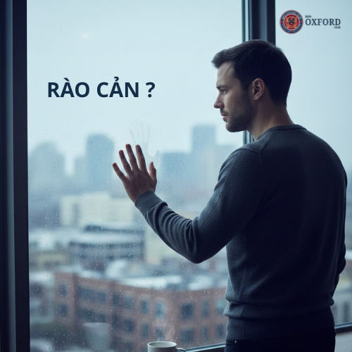 Học tiếng Anh online cho người lớn